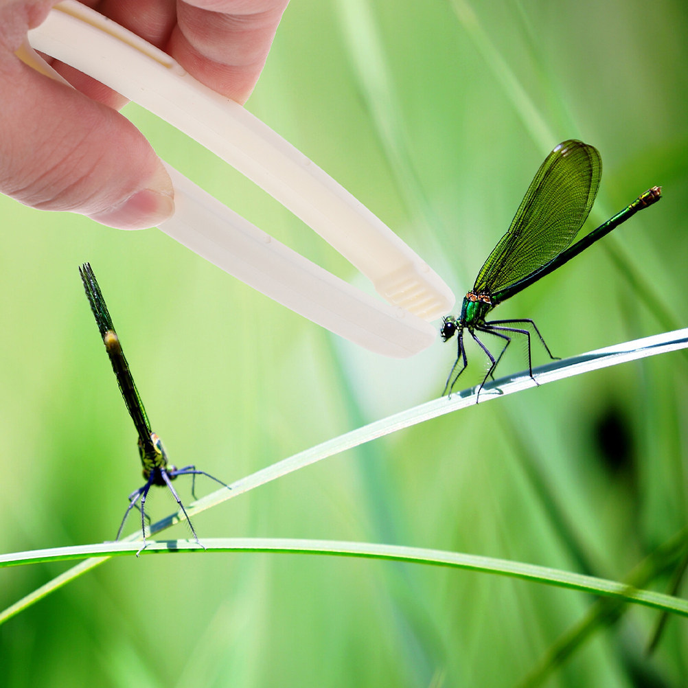 Pinzas de cabeza plana para ni - Outdoor Adventure Kids reseña y precio
