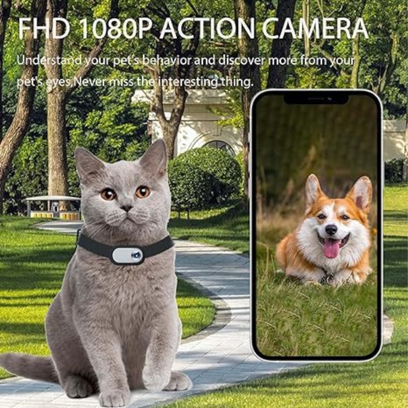 Cámara de cuello para mascotas - Outdoor Adventure Video reseña y precio